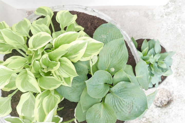 WORAUF ICH LANGE WARTEN&nbsp;MUSSTE