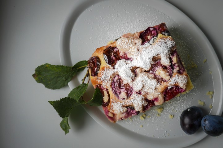 ZWETSCHKENFLECK GANZ HOCH ODER „DIE GESCHICHTE VON DEN STEHENGELASSENEN BÄUMEN“