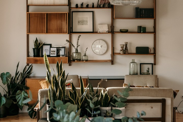 SPÄTHERBSTLICHES UPDATE AUS DEM&nbsp;SIEDLUNGSHAUS