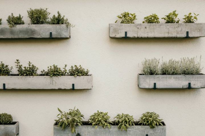 UNSER HÄNGENDER KRÄUTERGARTEN