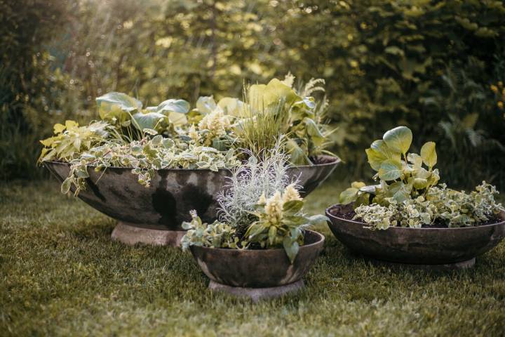 UNVERHOFFT KOMMT OFT