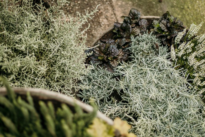 ALLES GUTE BRINGT DER&nbsp;HERBST